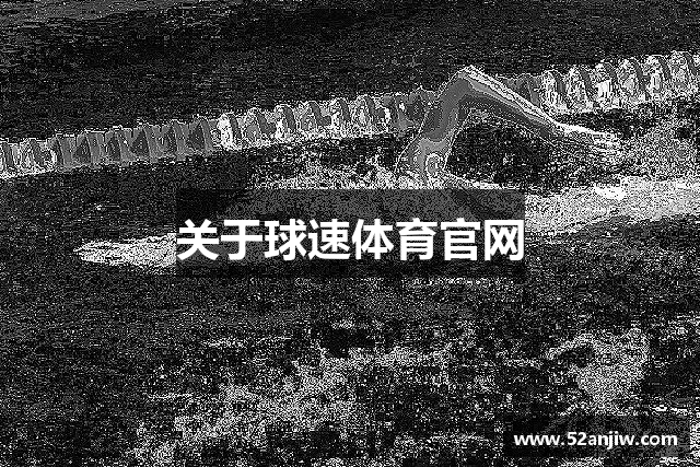 关于球速体育官网